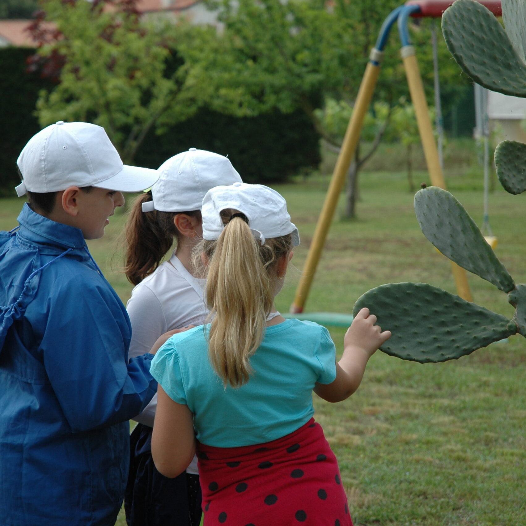 attività_bambini_fattoria_didattica_cavallino