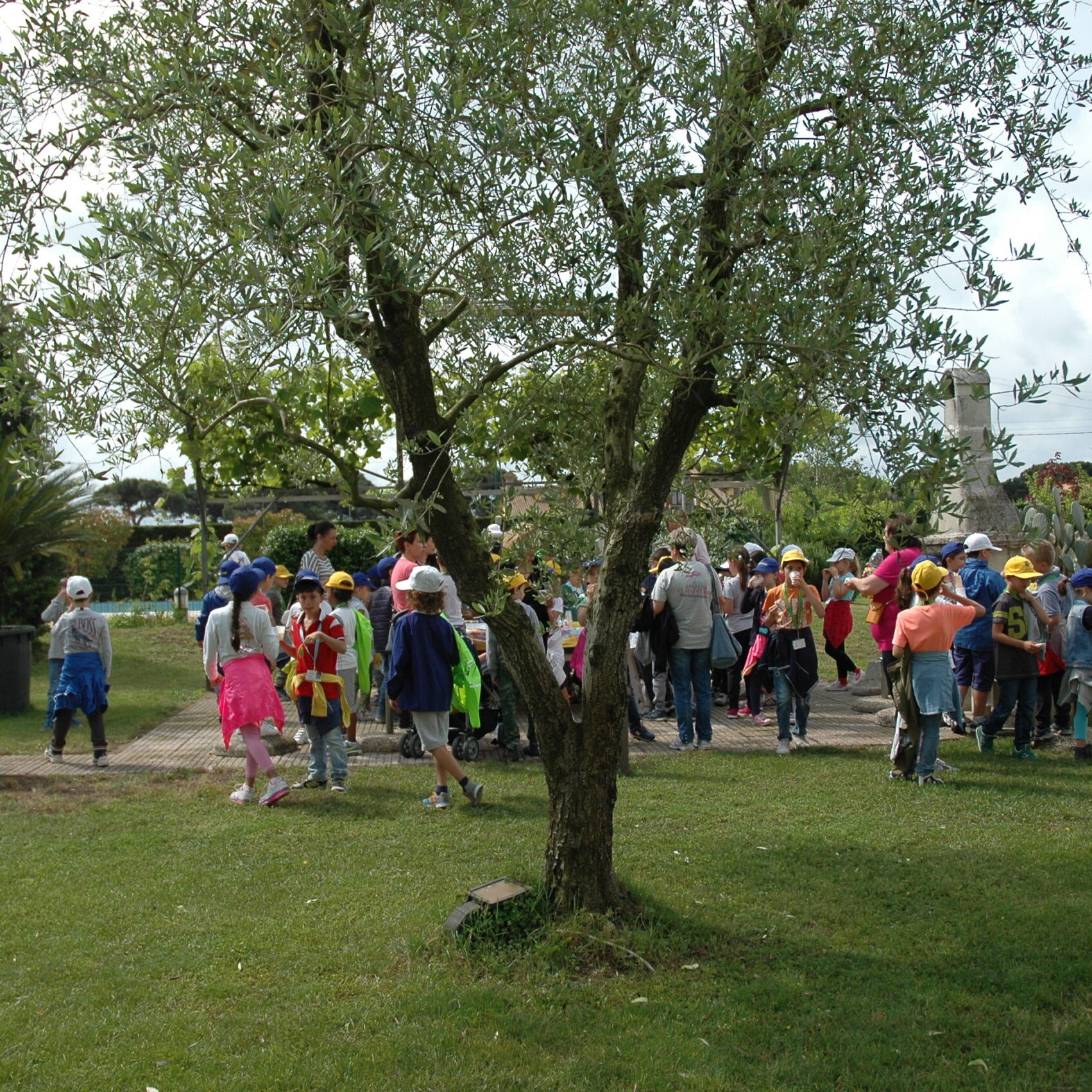 bambini_fattoria_didattica